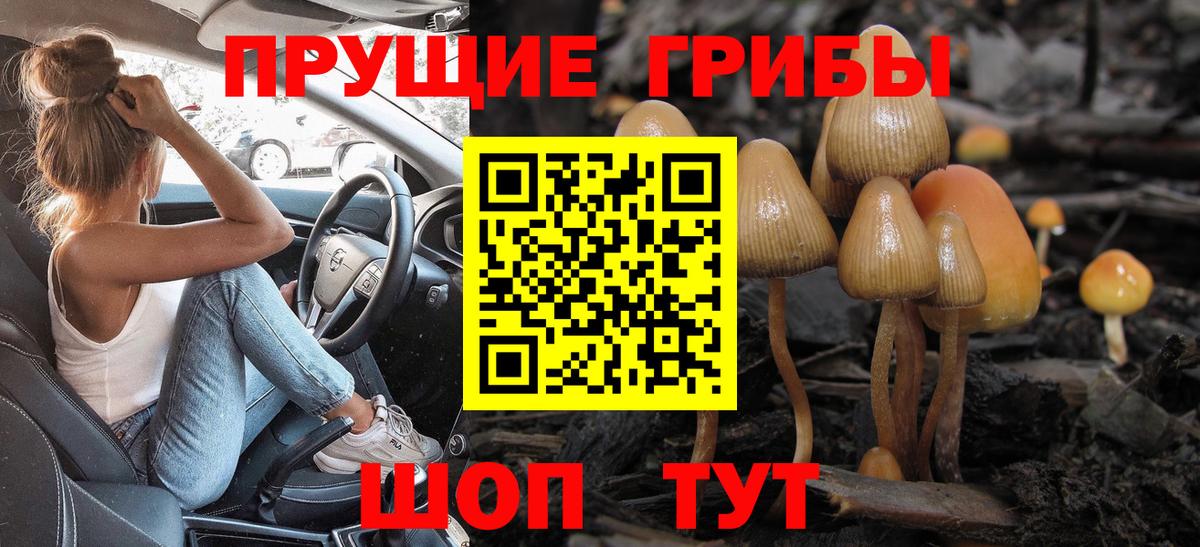 Кореновск  Псилоцибиновые грибы мухоморы  Вход с VPN 